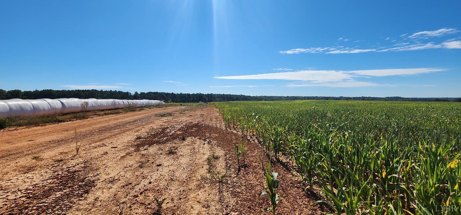 0 Glenmore Road Scottsville, VA 24590 - Photo 2 of 12