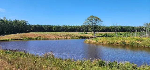 a view of a lake with houses in the background
