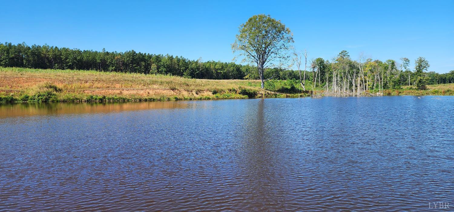 0 Glenmore Road Scottsville, VA 24590 - Photo 4 of 12