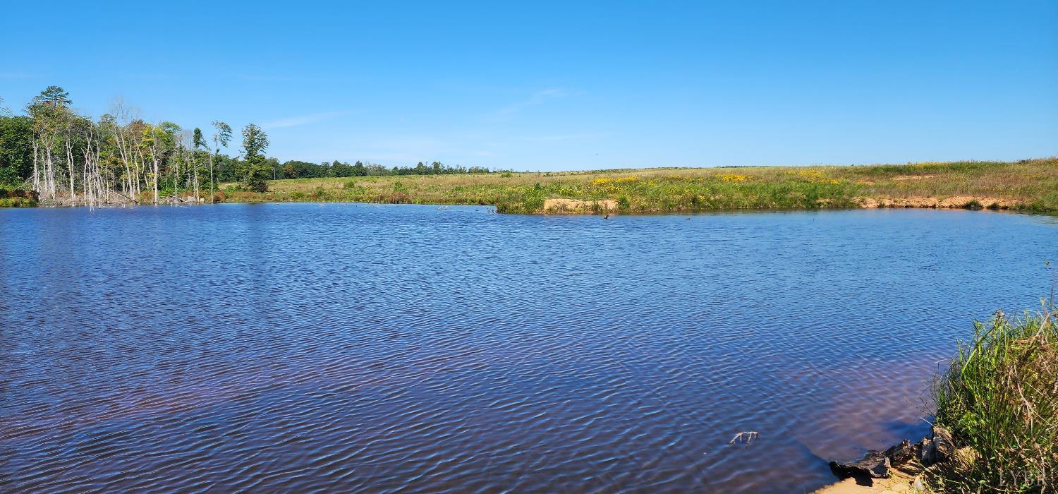 0 Glenmore Road Scottsville, VA 24590 - Photo 5 of 12