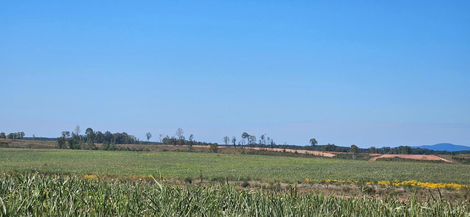 0 Glenmore Road Scottsville, VA 24590 - Photo 7 of 12