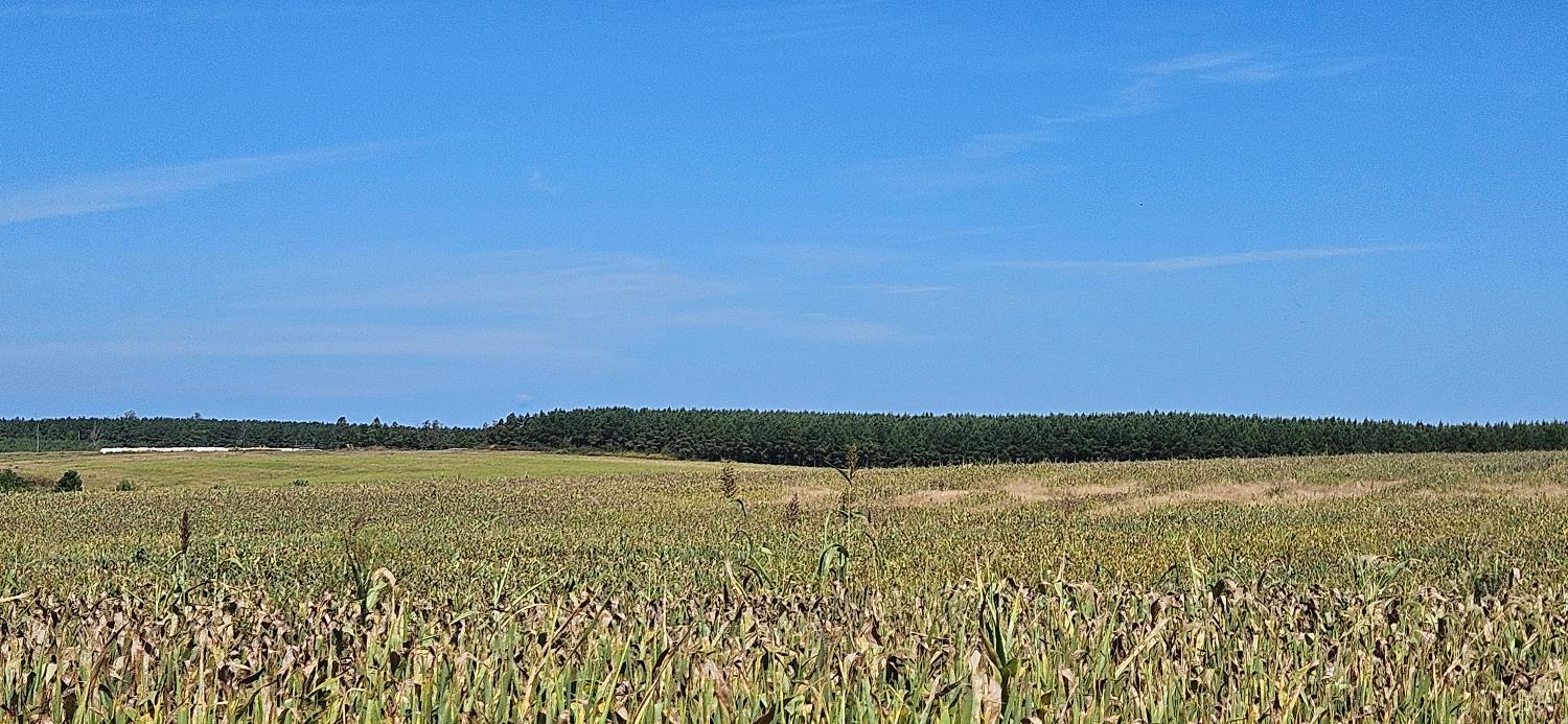 0 Glenmore Road Scottsville, VA 24590 - Photo 8 of 12