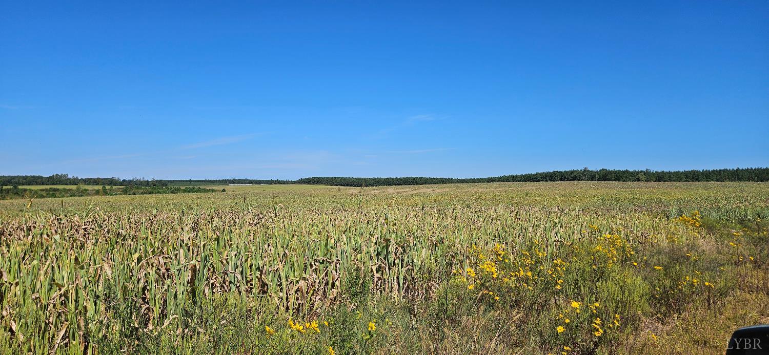0 Glenmore Road Scottsville, VA 24590 - Photo 9 of 12