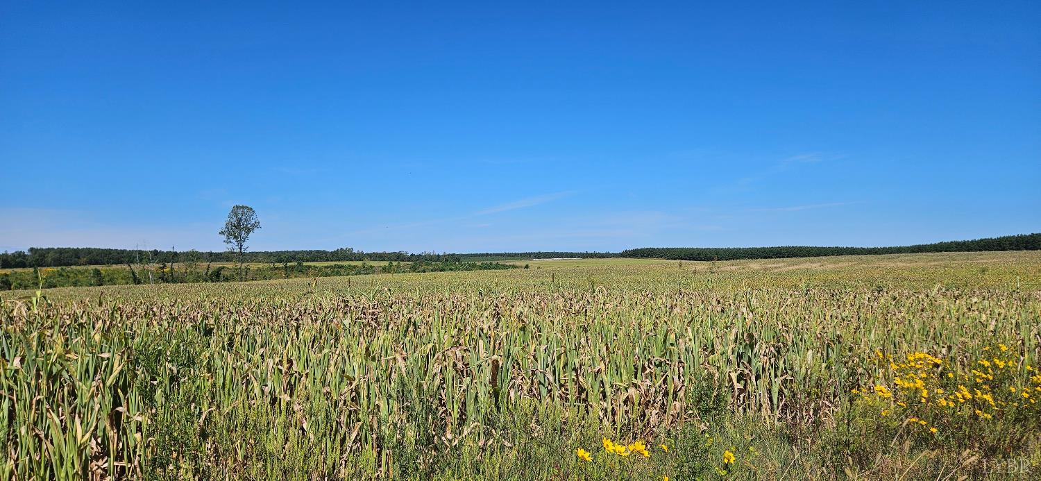 0 Glenmore Road Scottsville, VA 24590 - Photo 10 of 12