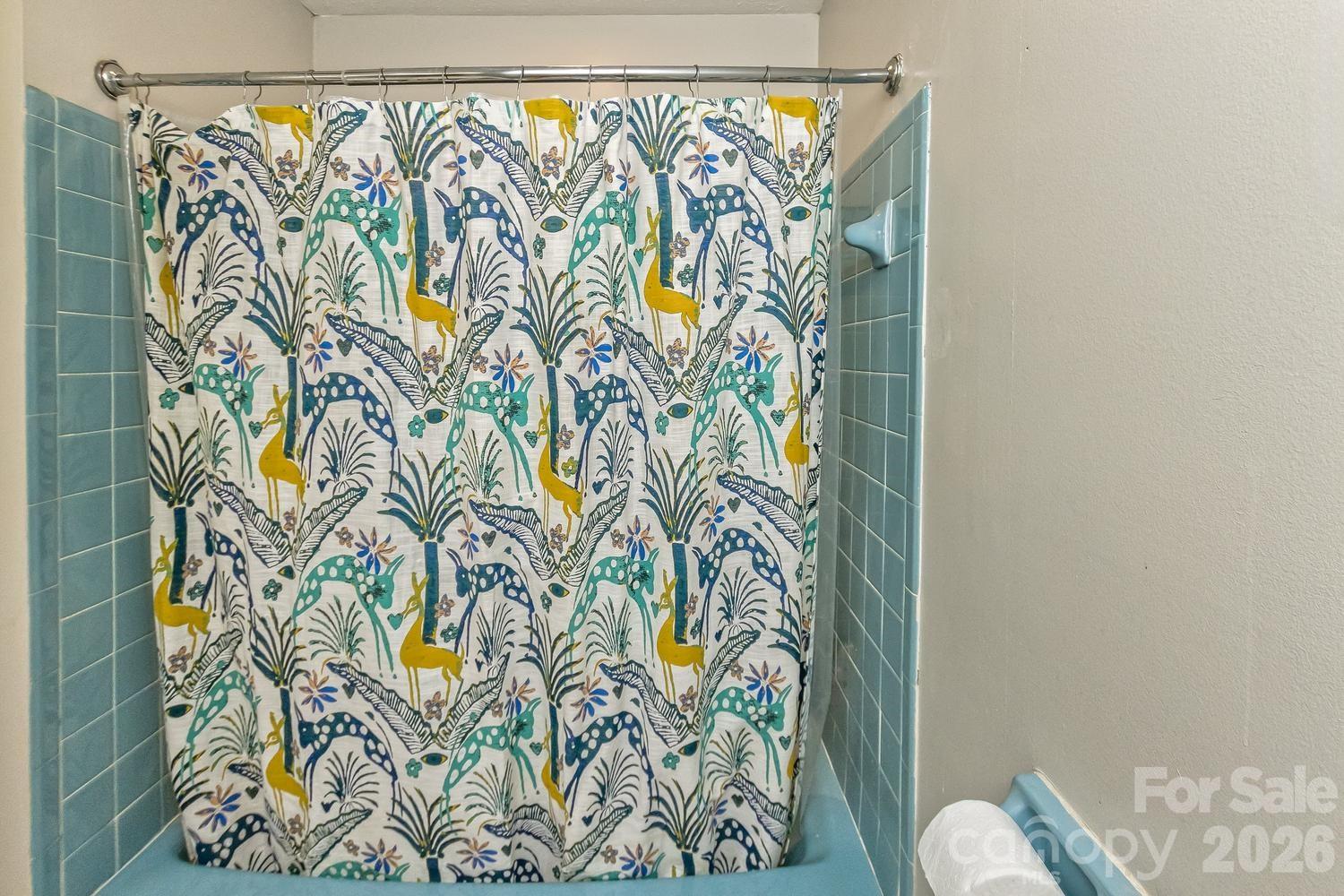 17 Rhododendron Place Asheville, NC 28805 - Photo 19 of 36