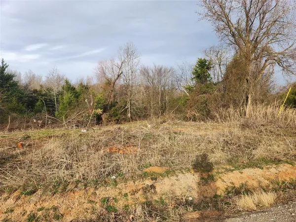 a view of a yard with trees in the background