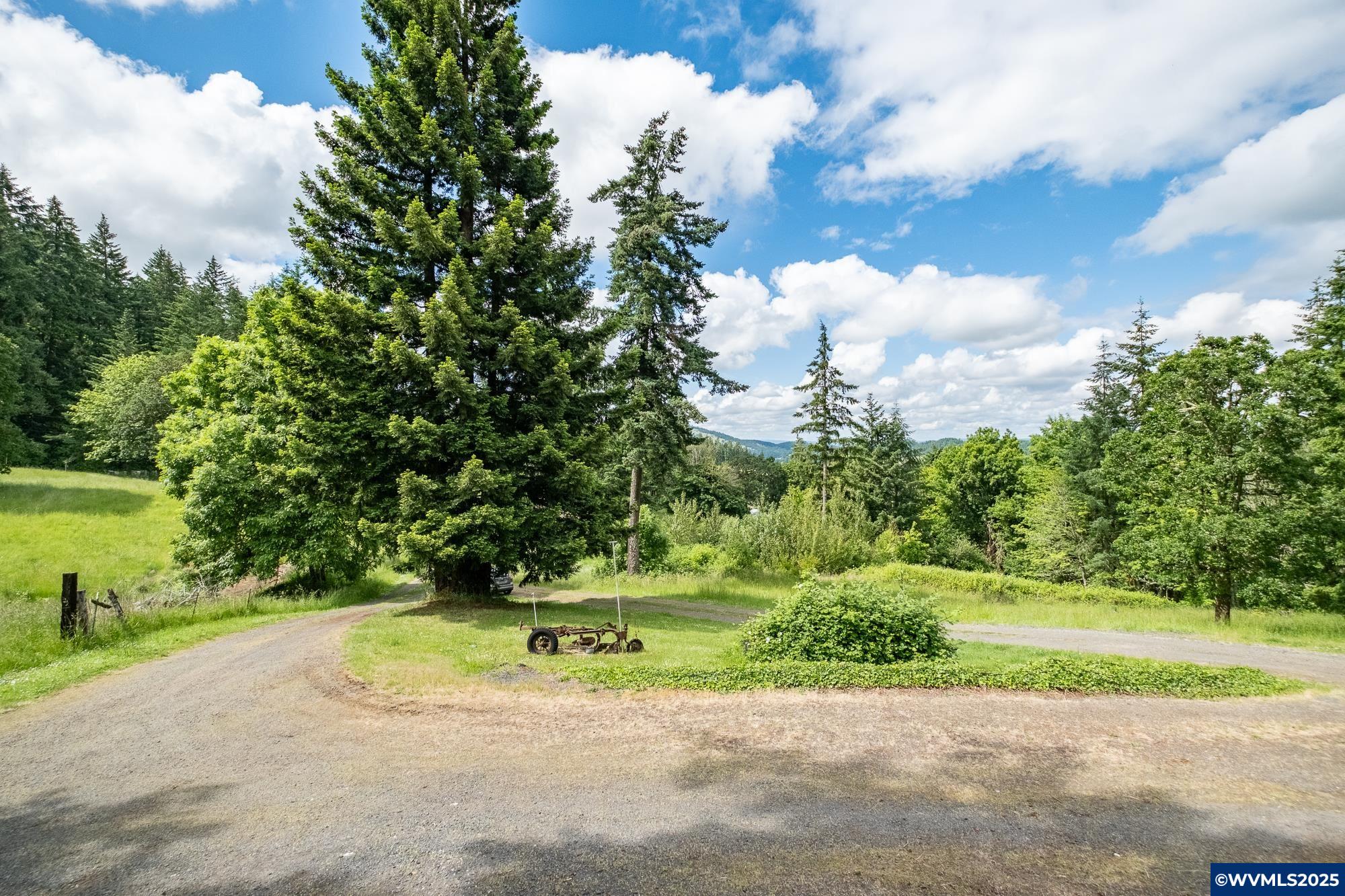 36279 Middle Ridge Road Lebanon, OR 97355 - Photo 48 of 50