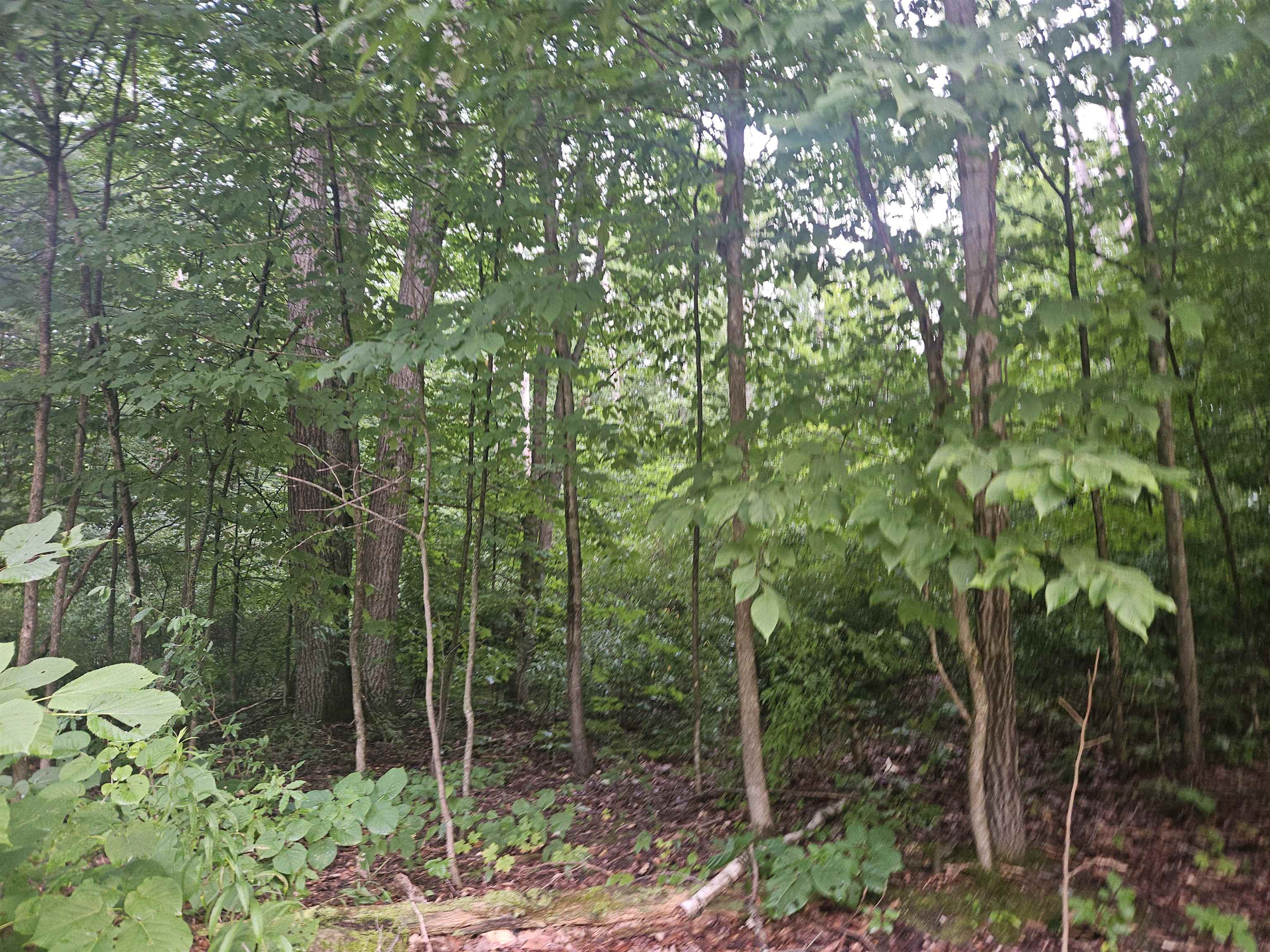 10-ac East Stockwell Road, Unit ATHEY Harrison, MI 48625 - Photo 5 of 8