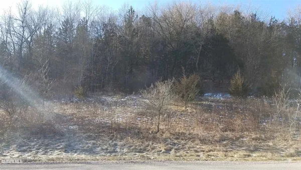 $25,000 | 110 West Glen Hollow Road, Galena, IL 61036