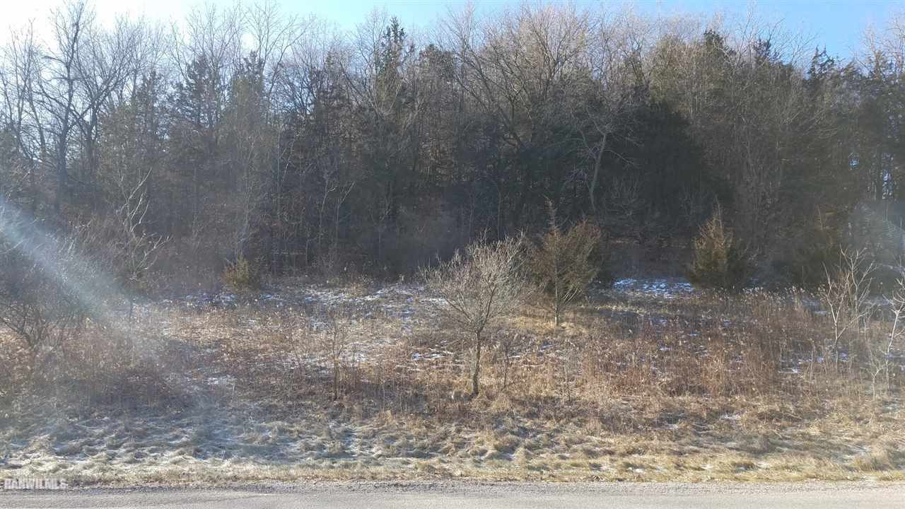 110 West Glen Hollow Road Galena, IL 61036 - Photo 2 of 13