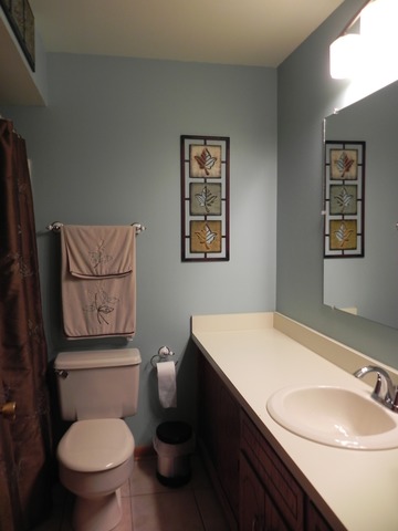 1034 Southgate Road New Lenox, IL 60451 - Photo 15 of 21 a bathroom with a toilet a sink and mirror