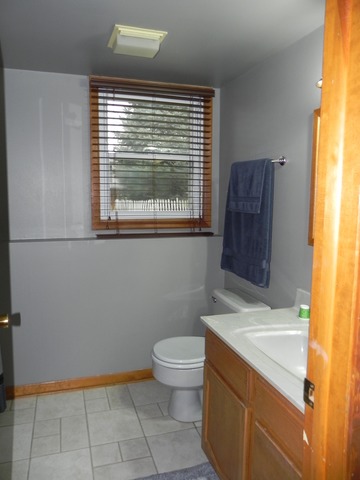 1034 Southgate Road New Lenox, IL 60451 - Photo 8 of 21 a bathroom with a sink toilet and window