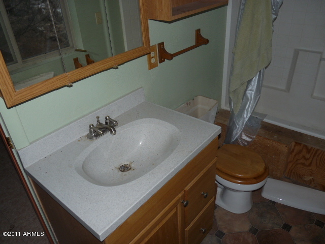 306 Jolly Road Seligman, AZ 86337 - Photo 16 of 20 P1150349