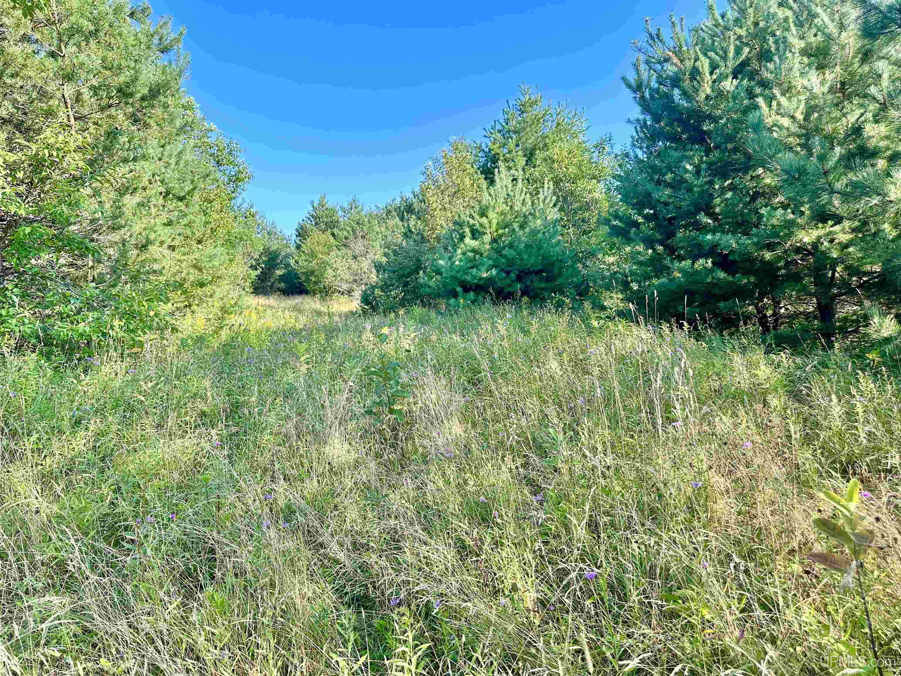 Tbd Crestview Road Ironwood, MI 49938 - Photo 44 of 49