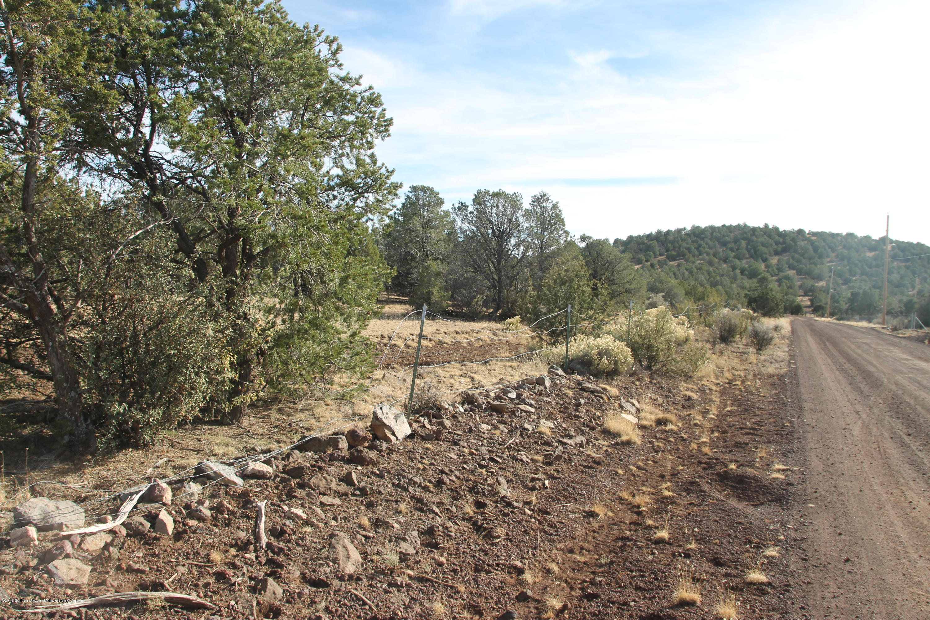 6565 North Buck Ridge Road Williams, AZ 86046 - Photo 2 of 5 IMG_3000