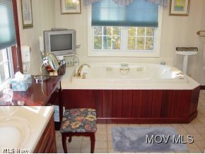 2209 New England Ridge Road Washington, WV 26181 - Photo 13 of 22 MBR has whirlpool tub & shower