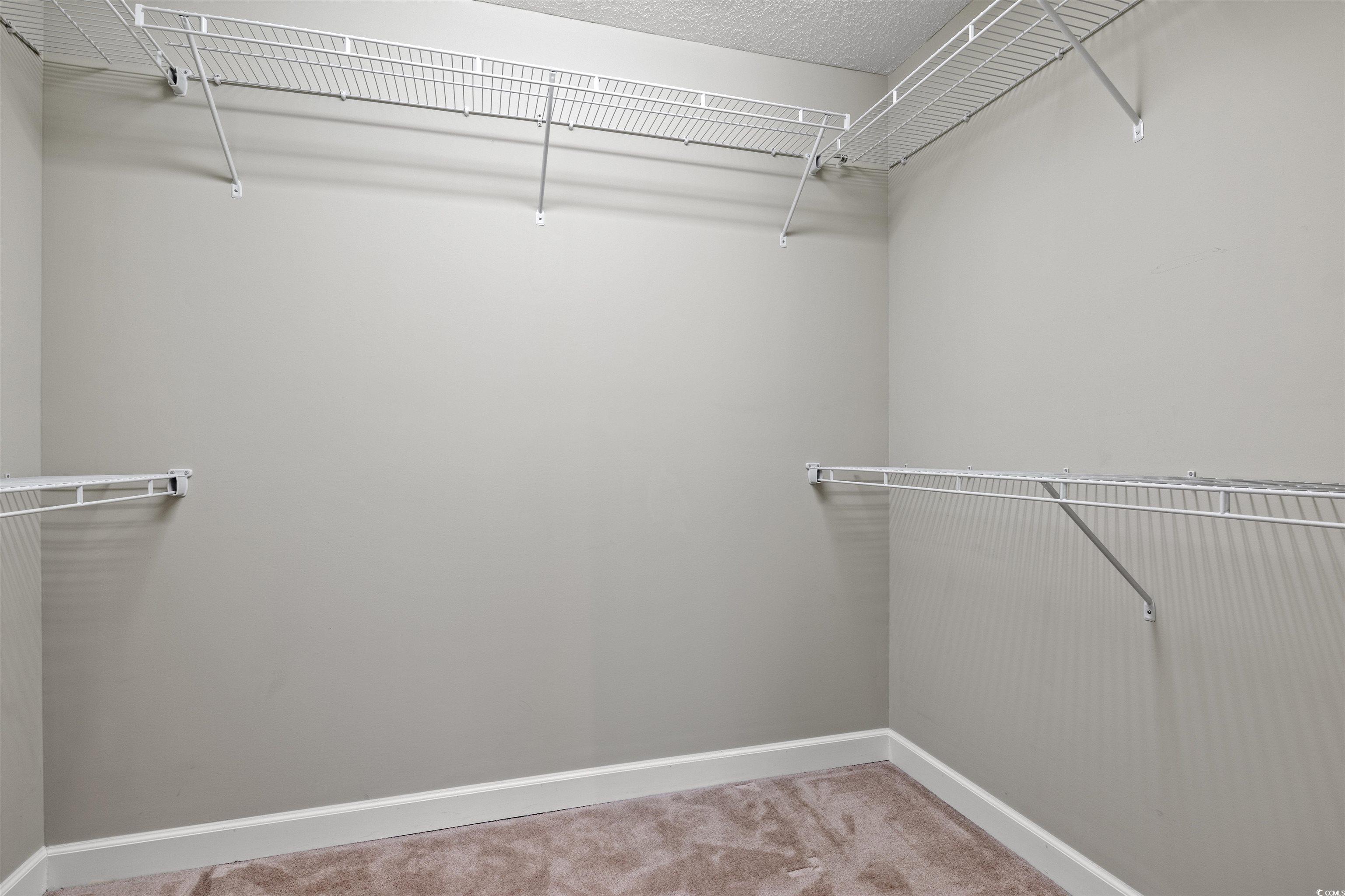 125 Dayglow Drive Loris, SC 29569 - Photo 14 of 24 Walk in closet featuring carpet flooring