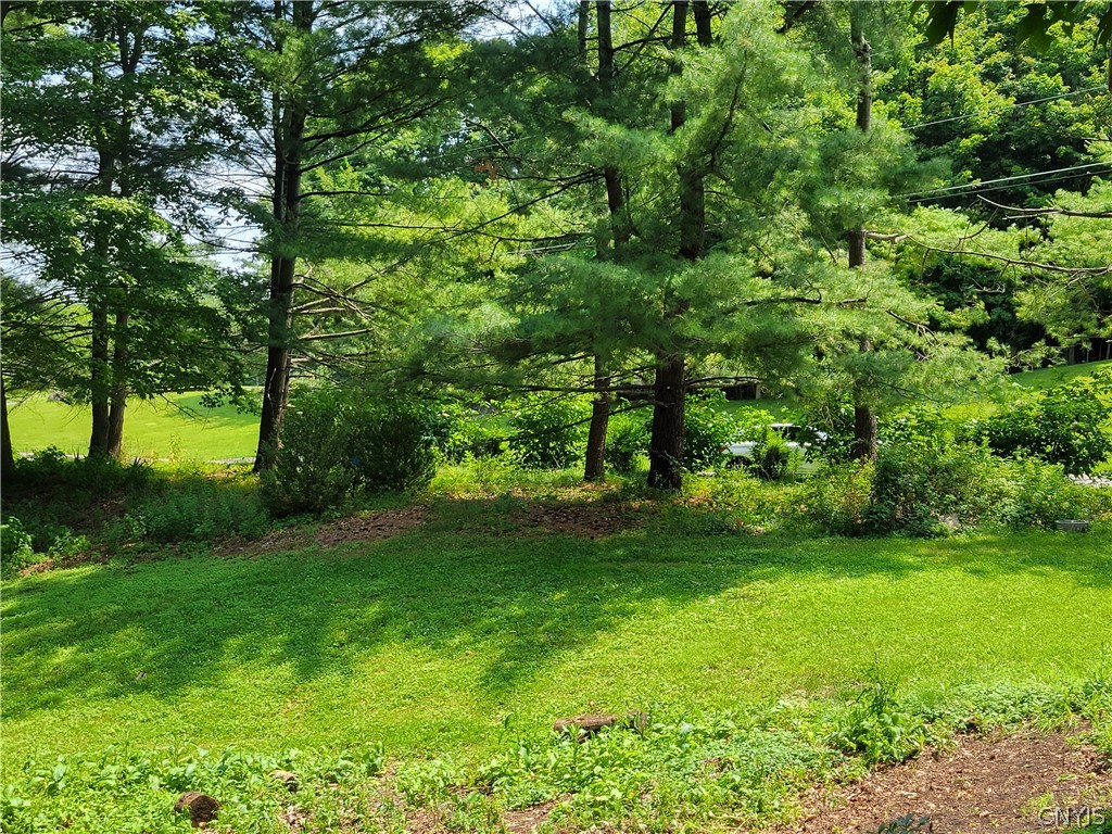 1000 Rail Fence Road Camillus, NY 13031 - Photo 36 of 47 ITS LIKE LIVING IN THE COUNTRY
