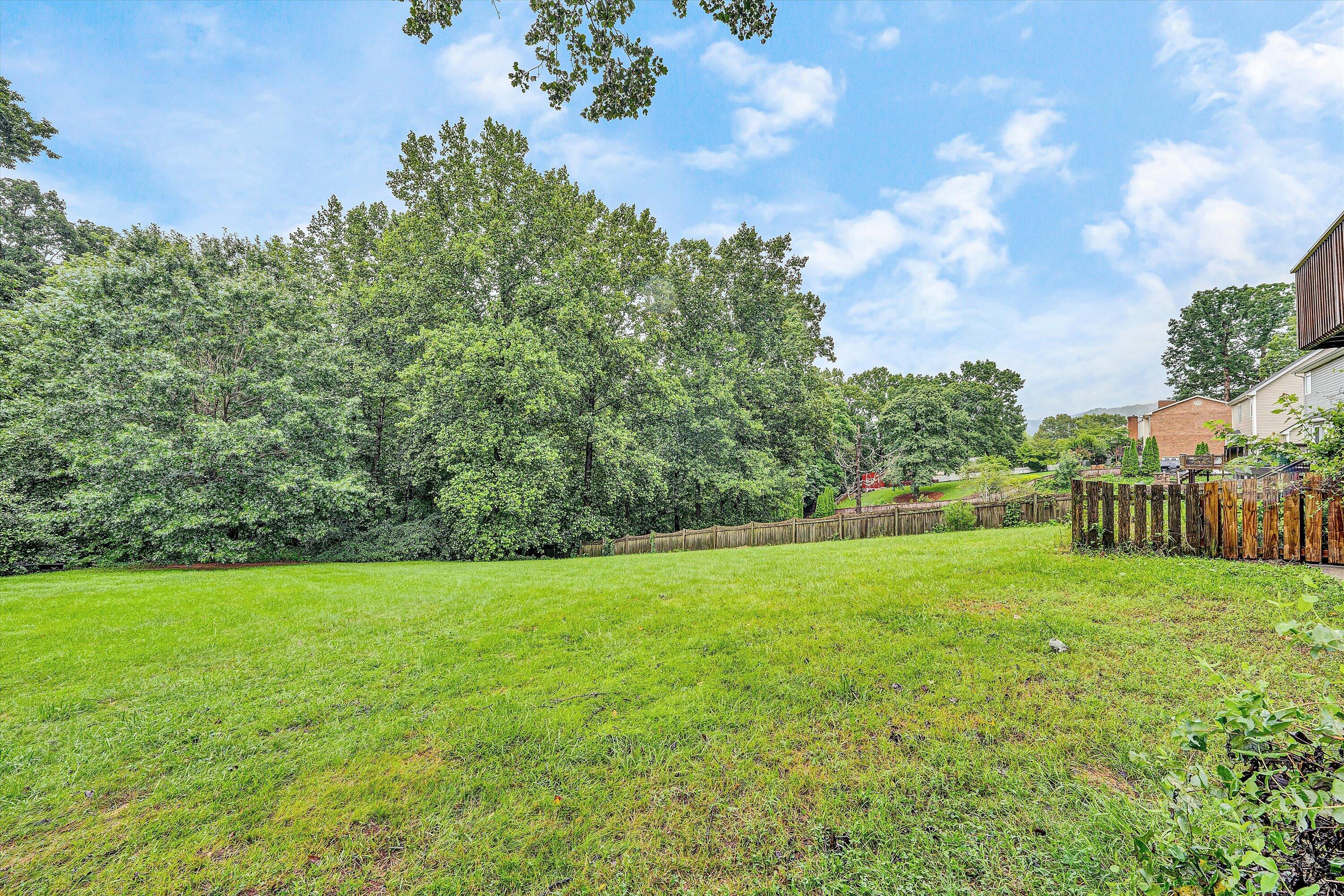 85 MacGregor Drive Blue Ridge, VA 24064 - Photo 65 of 69 63-Backyard