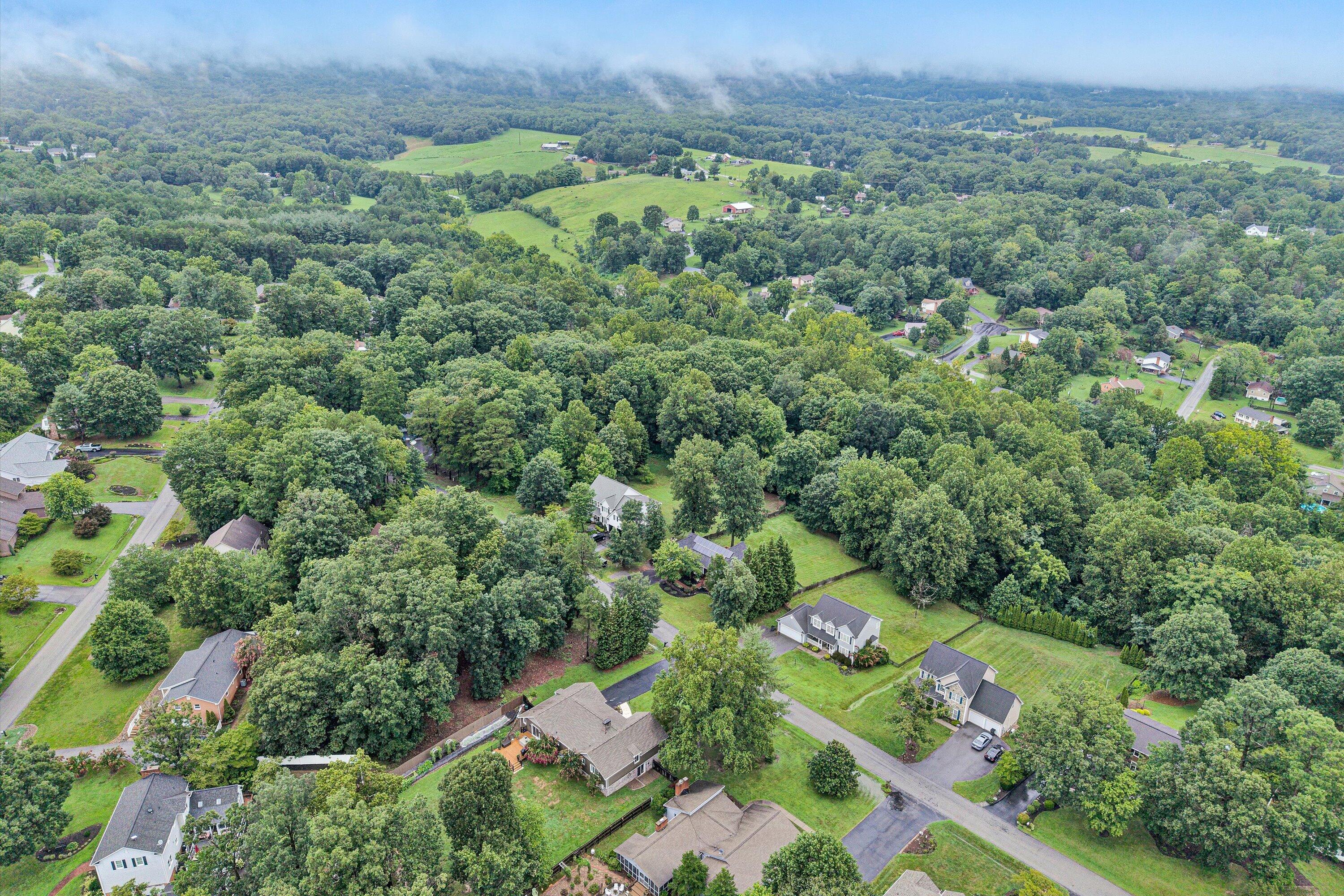 85 MacGregor Drive Blue Ridge, VA 24064 - Photo 8 of 69 06-Aerial view