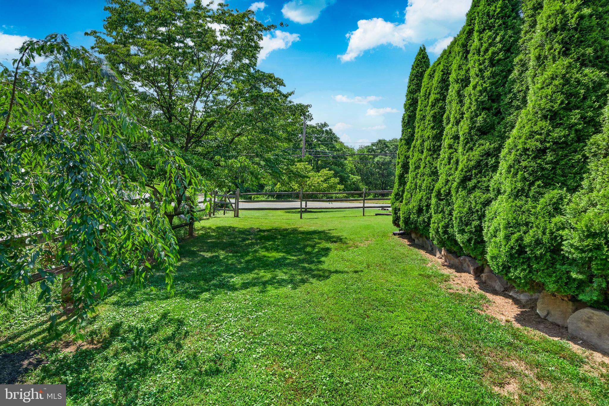 547 Limerick Center Road Royersford, PA 19468 - Photo 53 of 66 The owners planted many trees and shrubs.