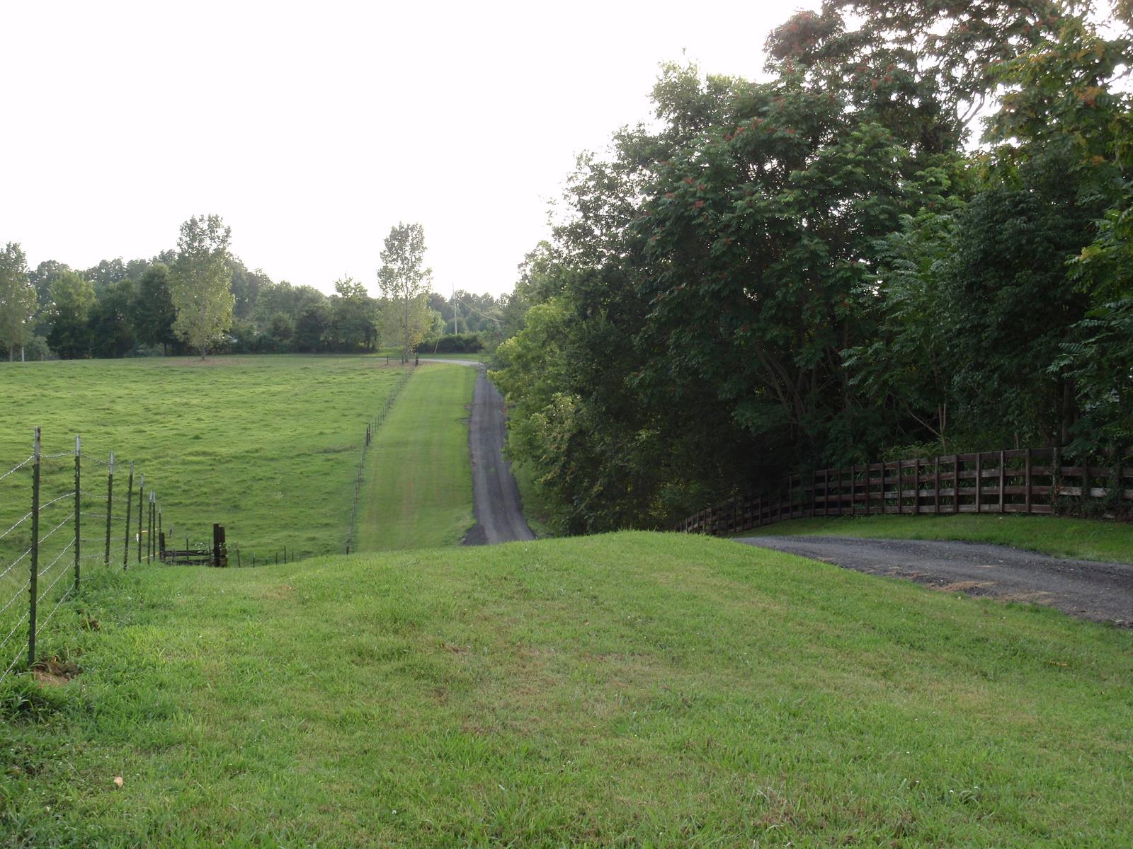 516 Tidwell Road Bon Aqua, TN 37025 - Photo 4 of 30 Gallery Image 4