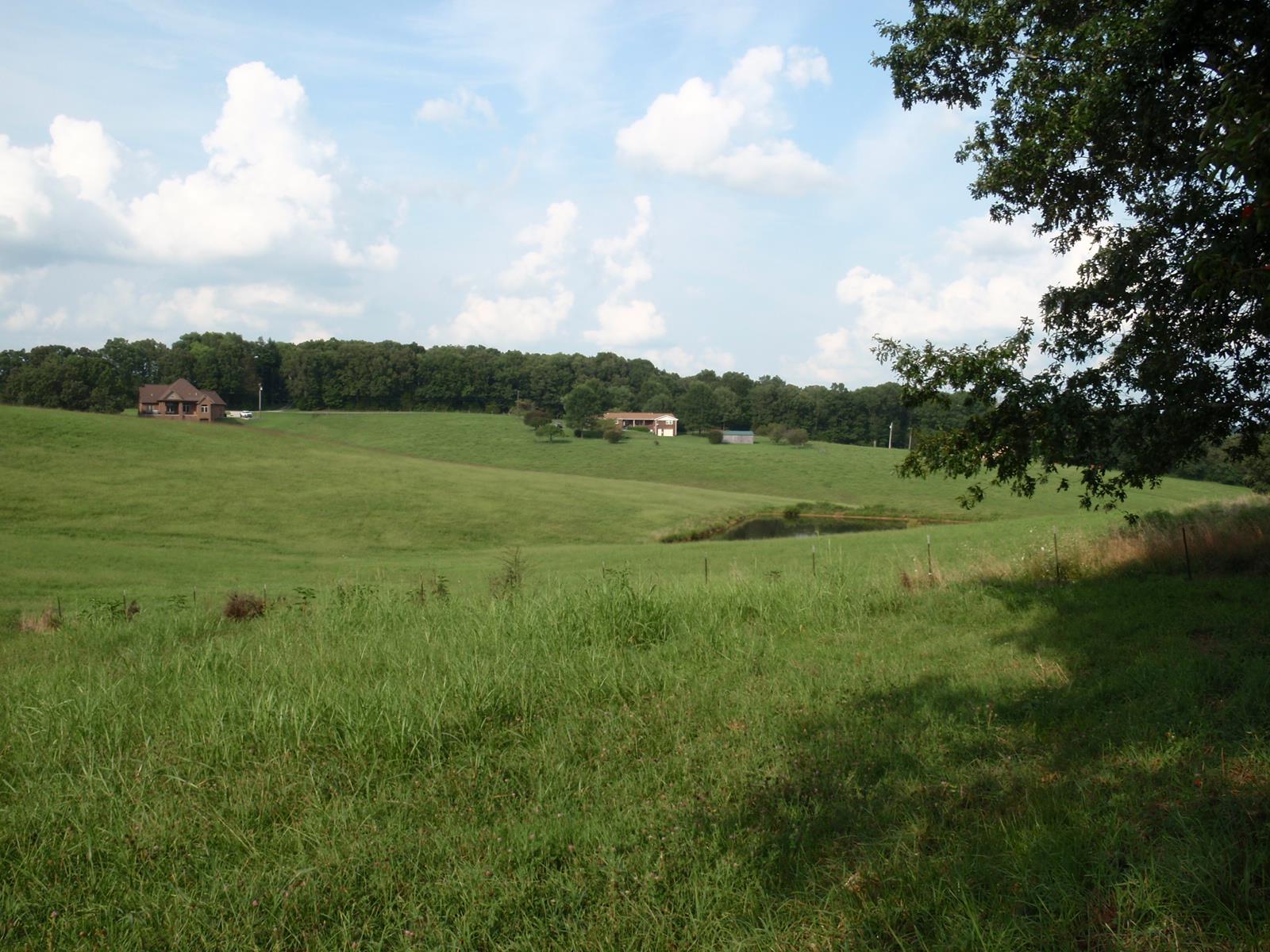 516 Tidwell Road Bon Aqua, TN 37025 - Photo 9 of 30 Gallery Image 9