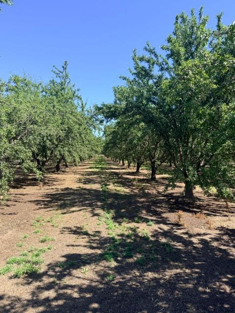 4866 Service Road Ceres, CA 95307 - Photo 15 of 16