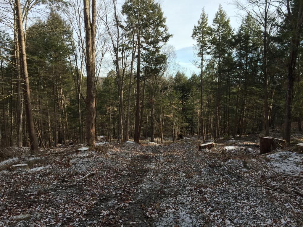 0 High Pastures Road Woodstock, VT 05091 - Photo 10 of 24 Gallery Image 10
