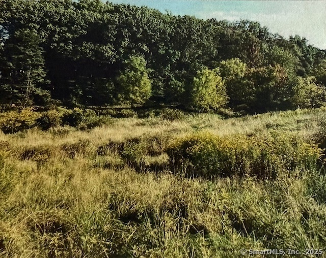 201 New Cheshire Road Wallingford, CT 06492 - Photo 2 of 13 a view of a yard
