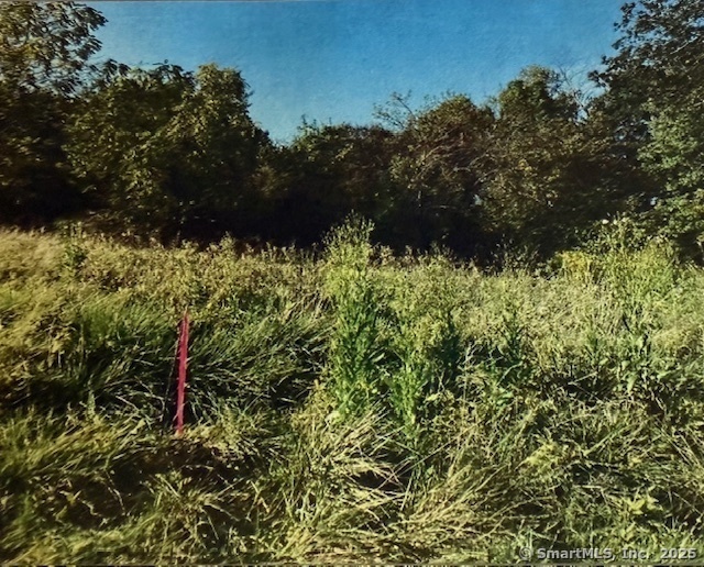 201 New Cheshire Road Wallingford, CT 06492 - Photo 3 of 13 a view of outdoor space and green space