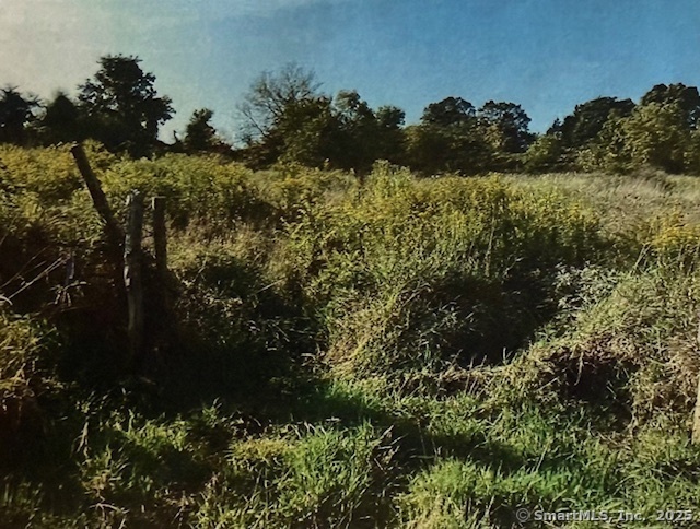 201 New Cheshire Road Wallingford, CT 06492 - Photo 5 of 13