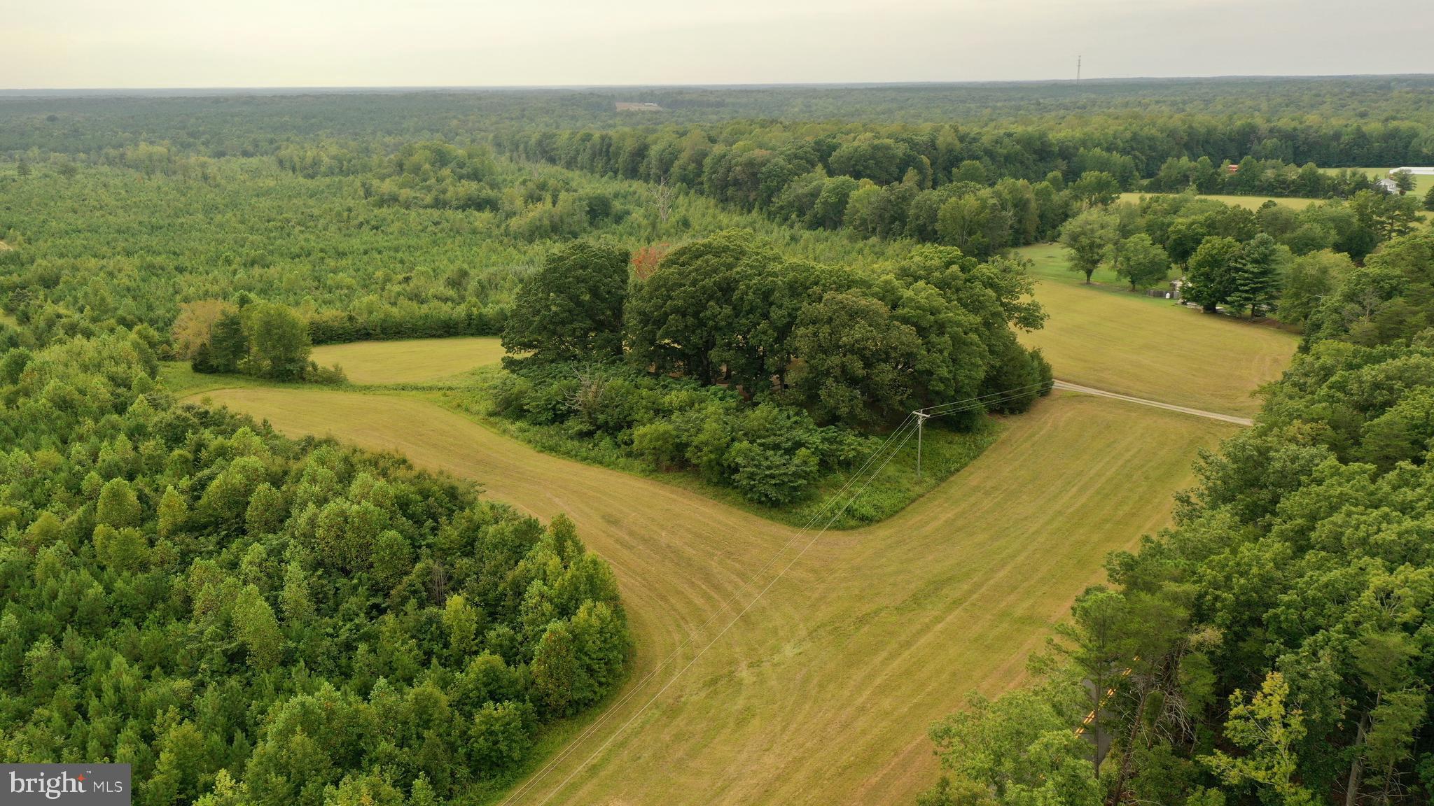 4698 Jericho Road Ruther Glen, VA 22546 - Photo 11 of 51