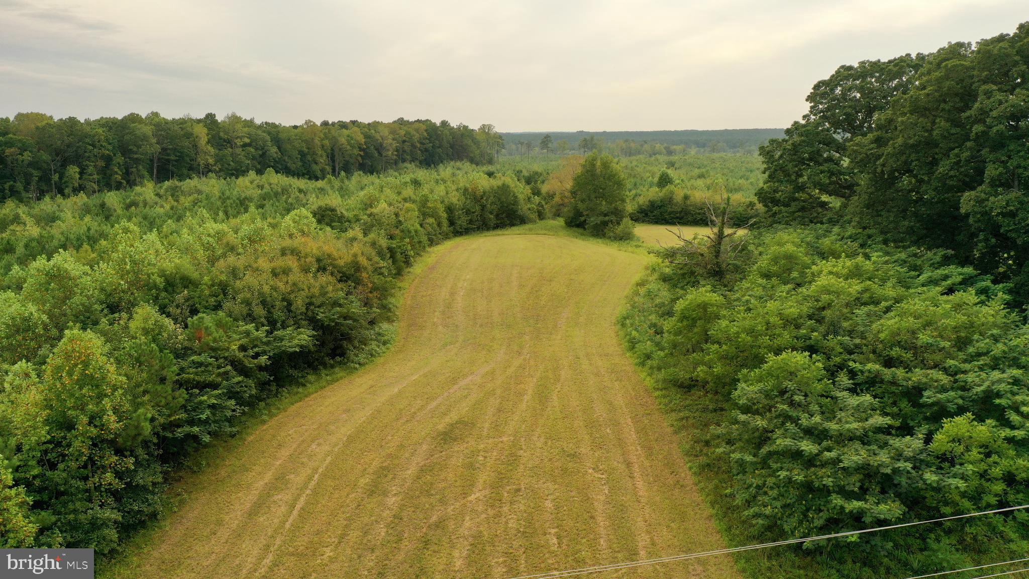 4698 Jericho Road Ruther Glen, VA 22546 - Photo 12 of 51