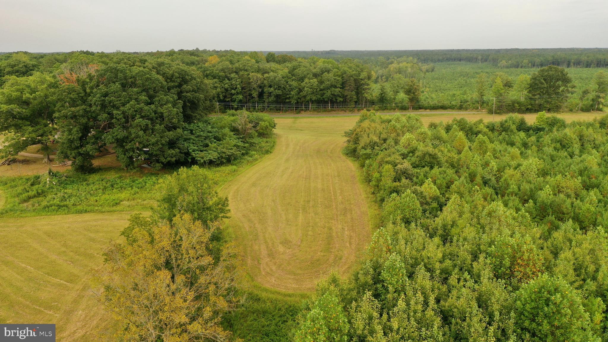 4698 Jericho Road Ruther Glen, VA 22546 - Photo 13 of 51