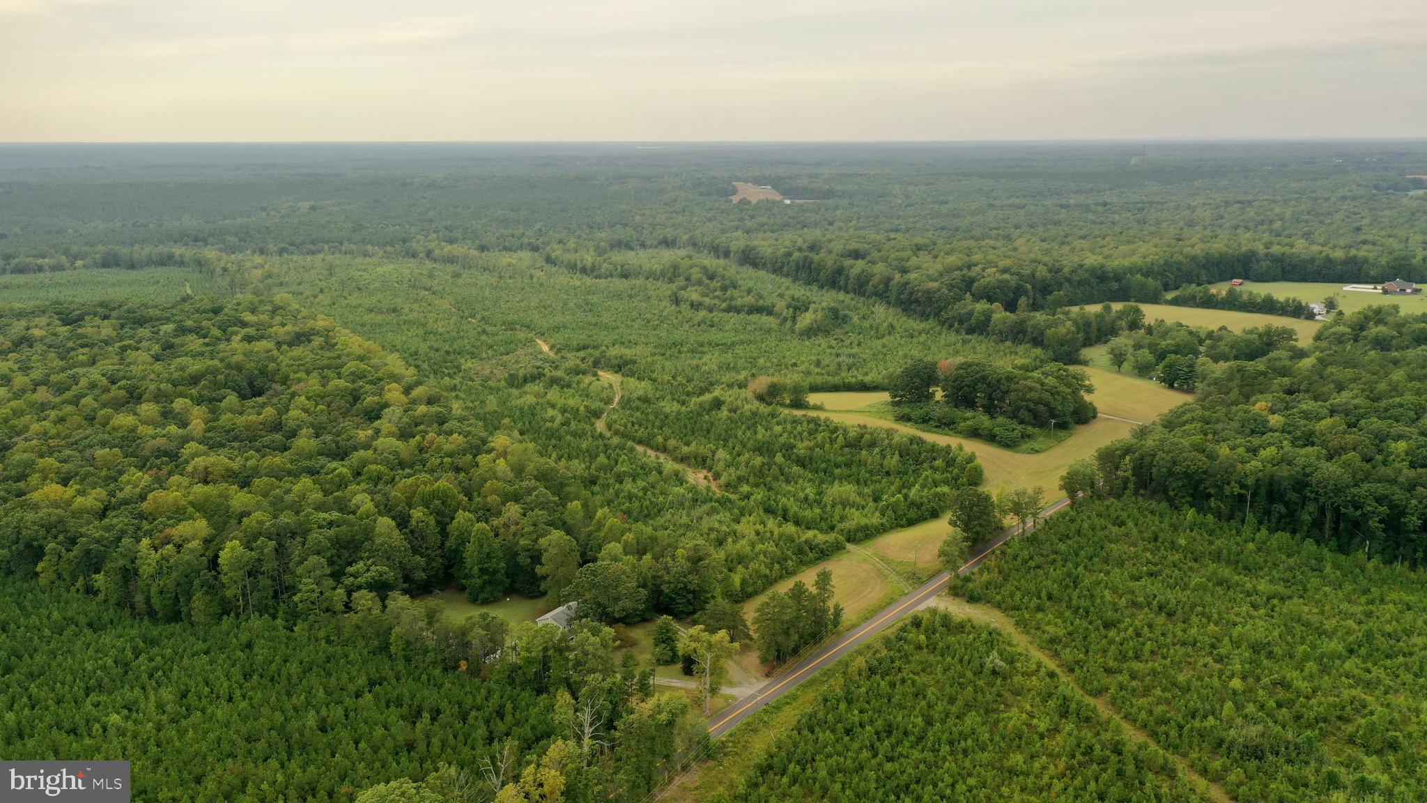 4698 Jericho Road Ruther Glen, VA 22546 - Photo 2 of 51