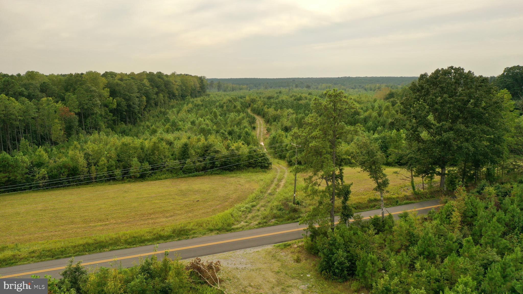 4698 Jericho Road Ruther Glen, VA 22546 - Photo 28 of 51