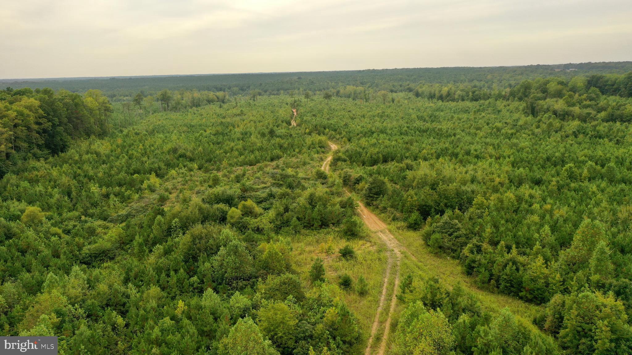 4698 Jericho Road Ruther Glen, VA 22546 - Photo 29 of 51