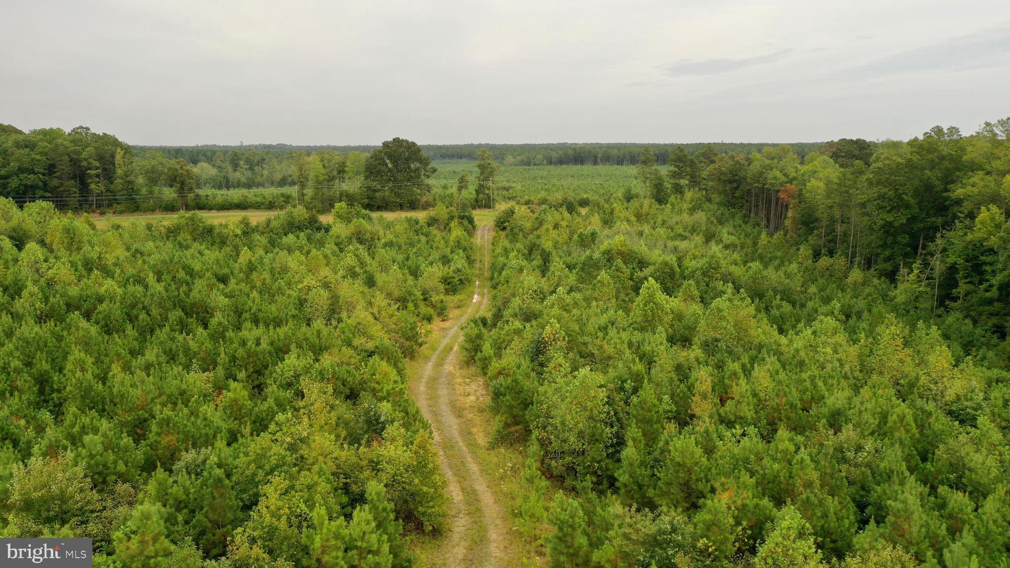 4698 Jericho Road Ruther Glen, VA 22546 - Photo 30 of 51