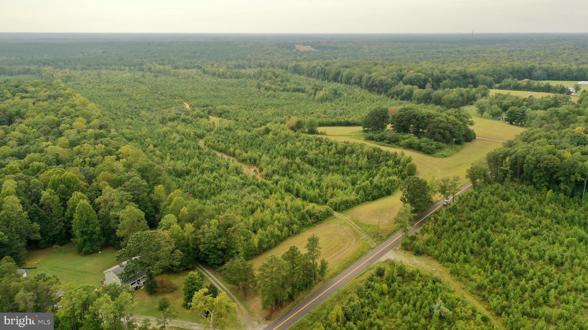 4698 Jericho Road Ruther Glen, VA 22546 - Photo 3 of 51