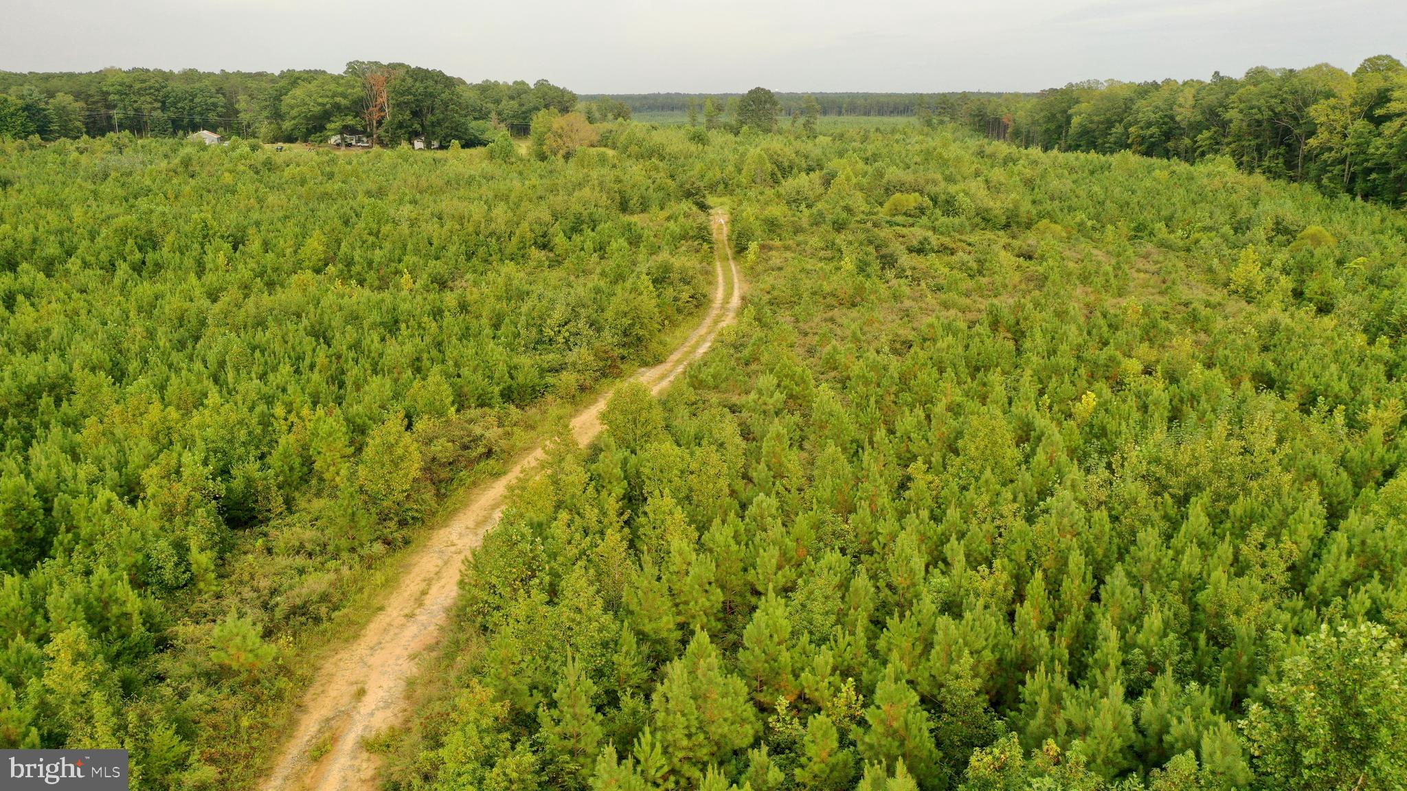 4698 Jericho Road Ruther Glen, VA 22546 - Photo 31 of 51