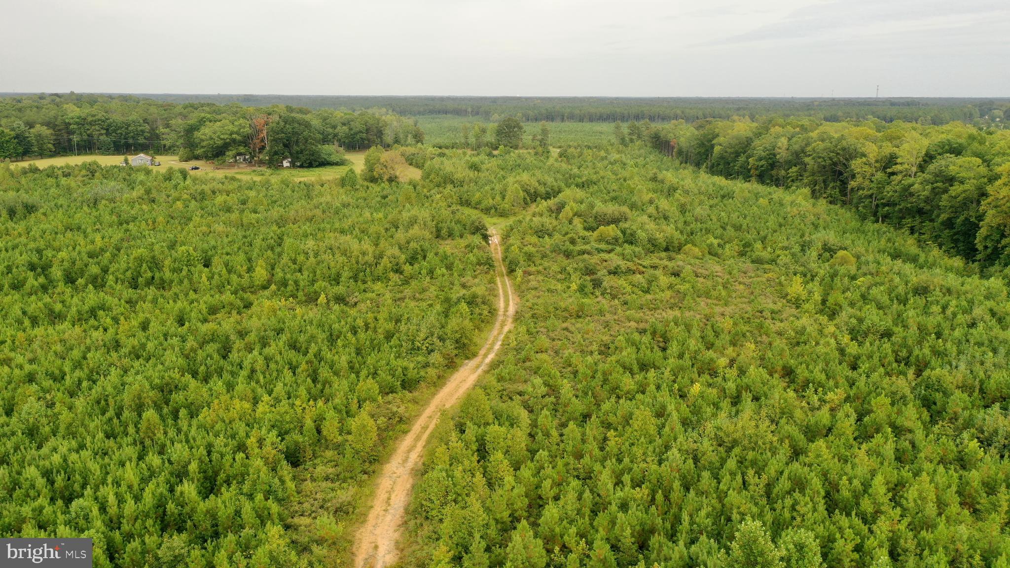 4698 Jericho Road Ruther Glen, VA 22546 - Photo 32 of 51