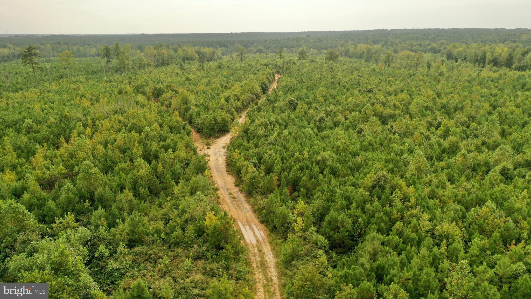 4698 Jericho Road Ruther Glen, VA 22546 - Photo 33 of 51