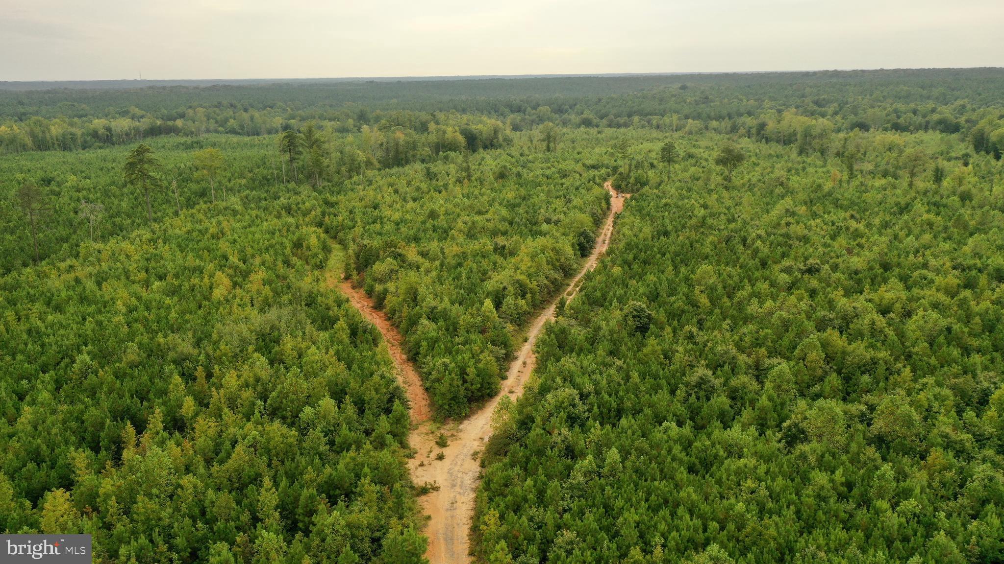 4698 Jericho Road Ruther Glen, VA 22546 - Photo 34 of 51