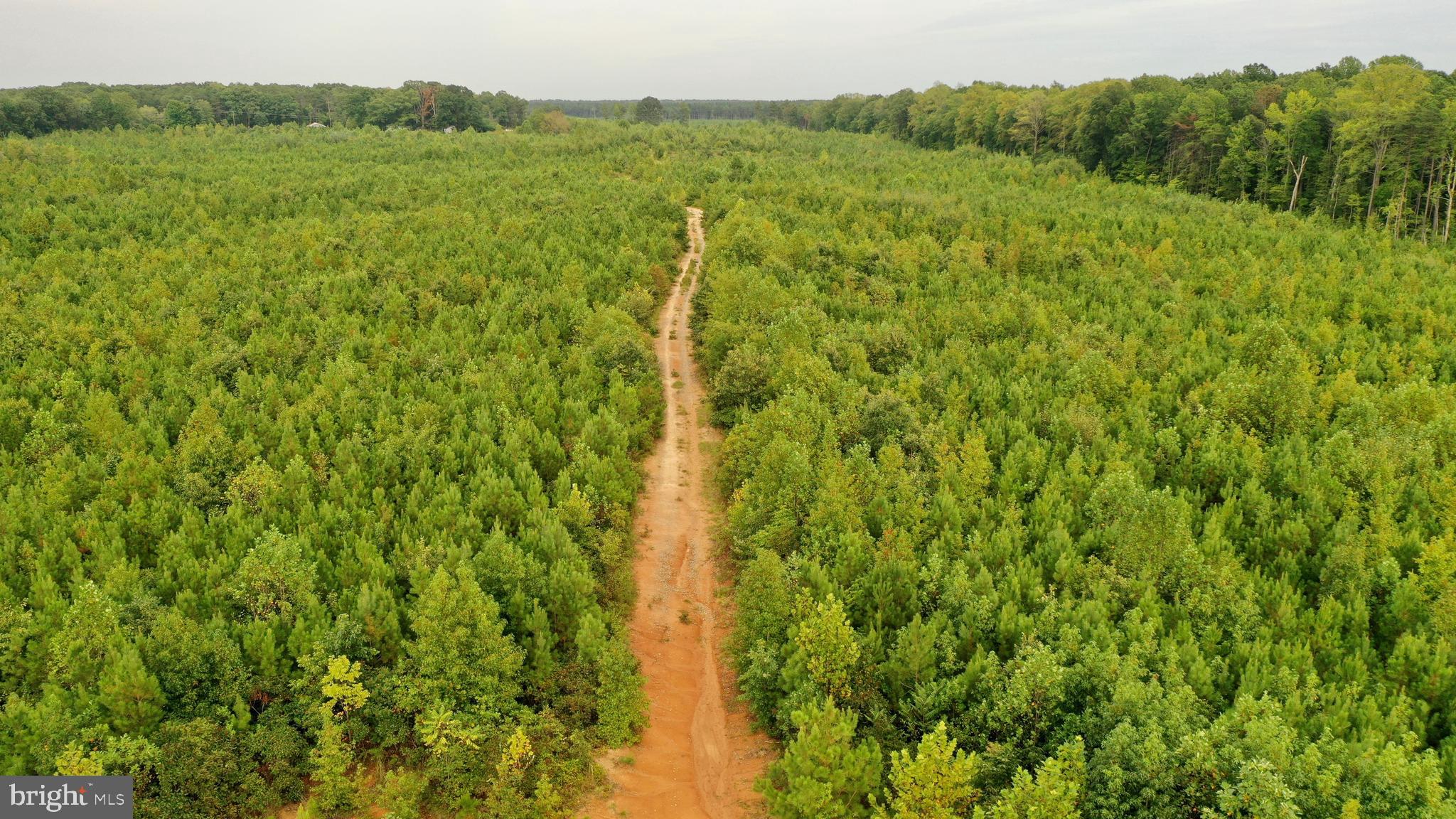 4698 Jericho Road Ruther Glen, VA 22546 - Photo 35 of 51