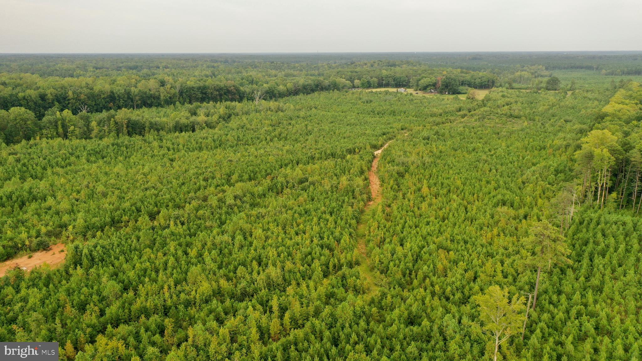 4698 Jericho Road Ruther Glen, VA 22546 - Photo 36 of 51