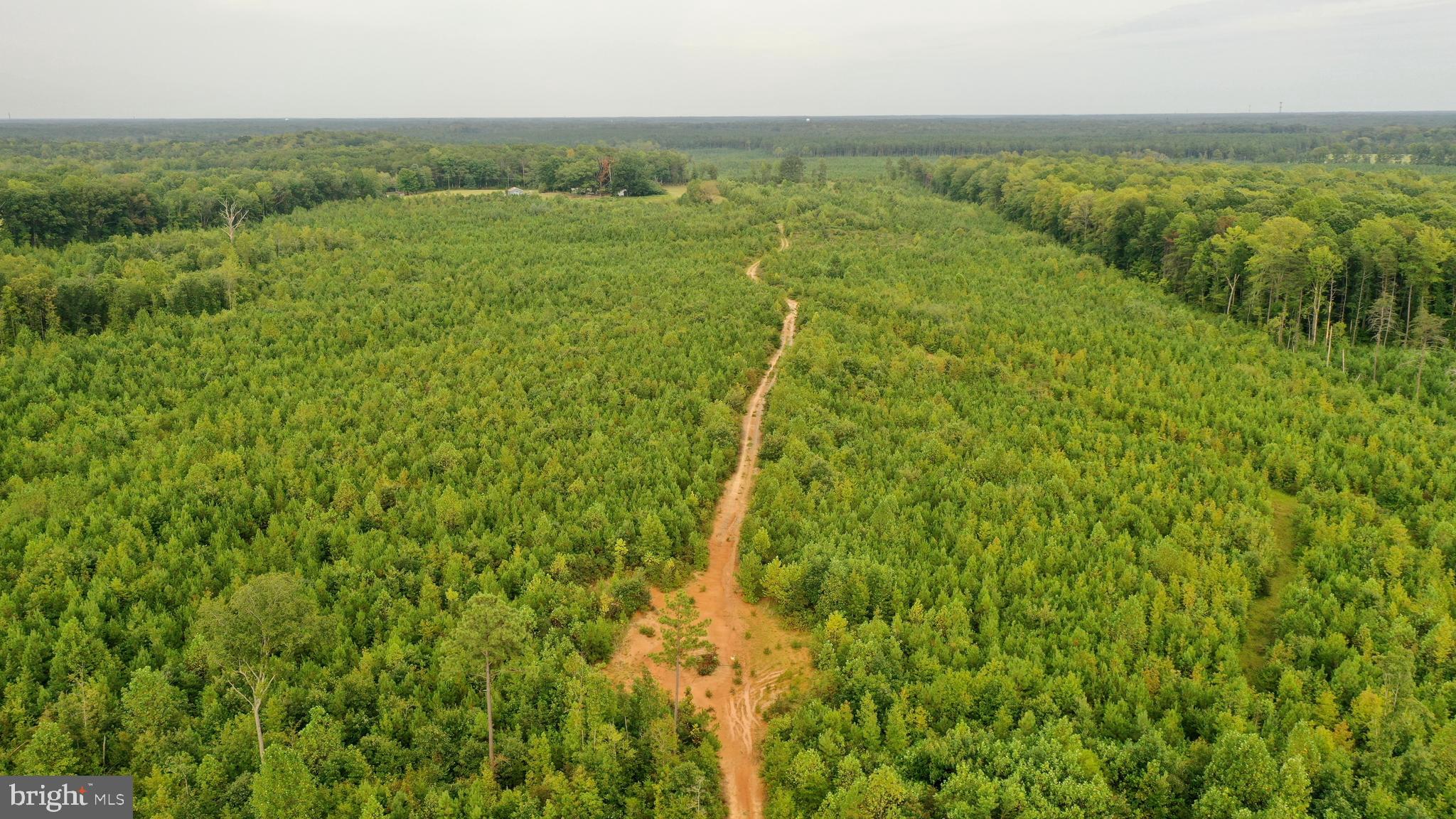 4698 Jericho Road Ruther Glen, VA 22546 - Photo 37 of 51