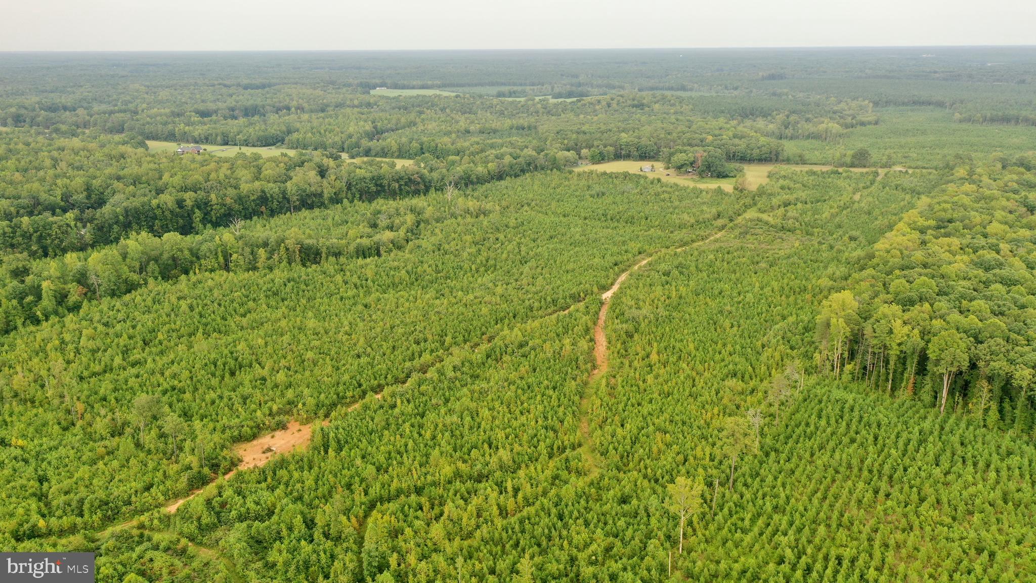 4698 Jericho Road Ruther Glen, VA 22546 - Photo 38 of 51