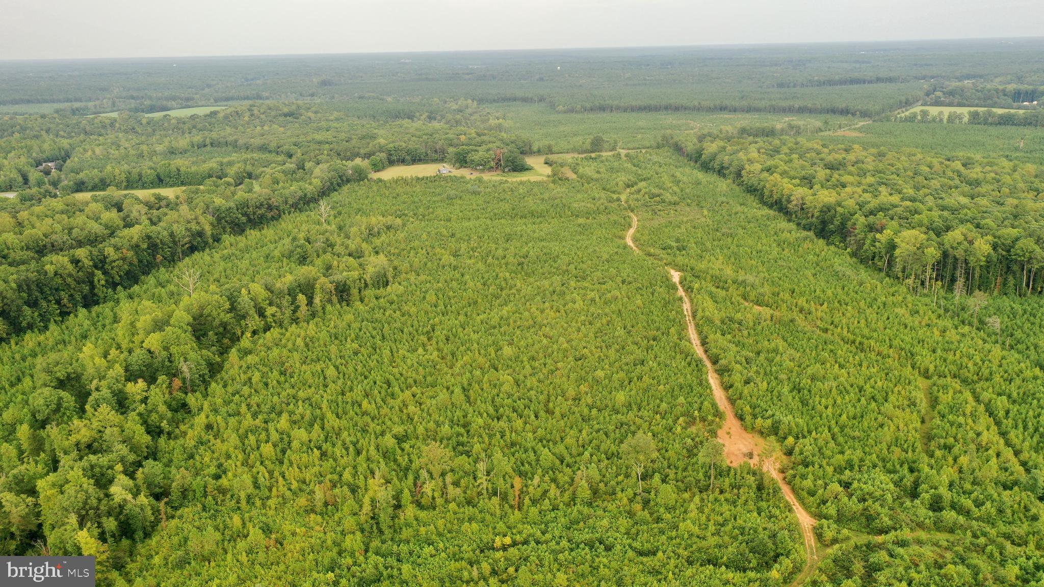 4698 Jericho Road Ruther Glen, VA 22546 - Photo 39 of 51