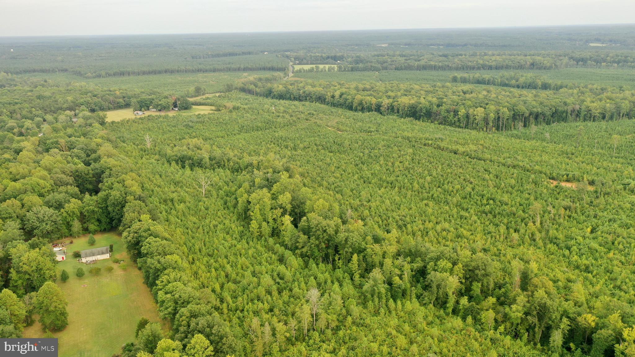 4698 Jericho Road Ruther Glen, VA 22546 - Photo 40 of 51